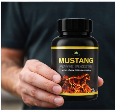 MUSTANG POWER BOOSTER